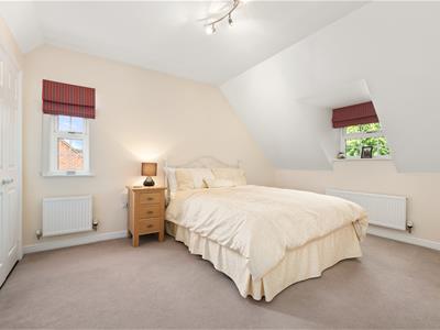 Picture 21